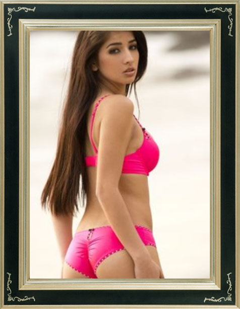 chandigarh-escorts